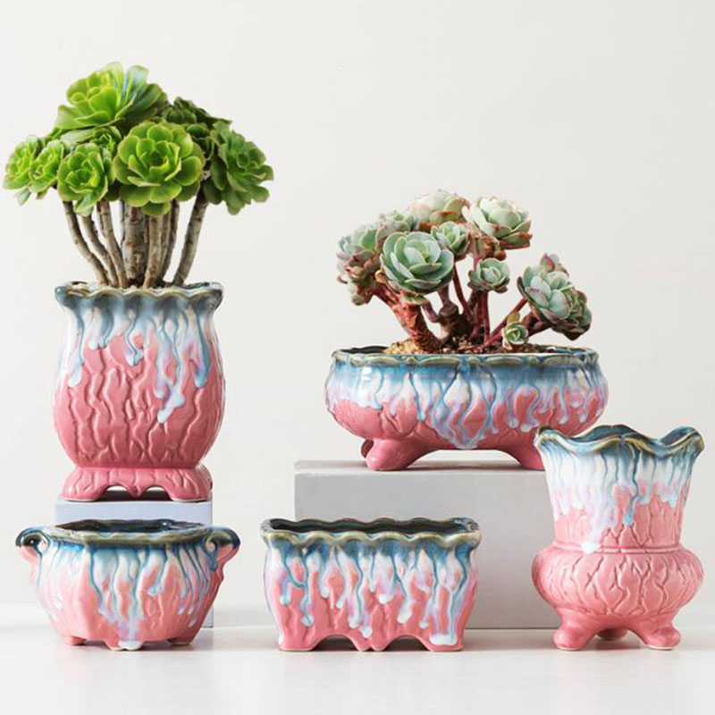 Snake Plant Ceramic - Kreatywna przeszklona doniczka doniczka na sukulenty