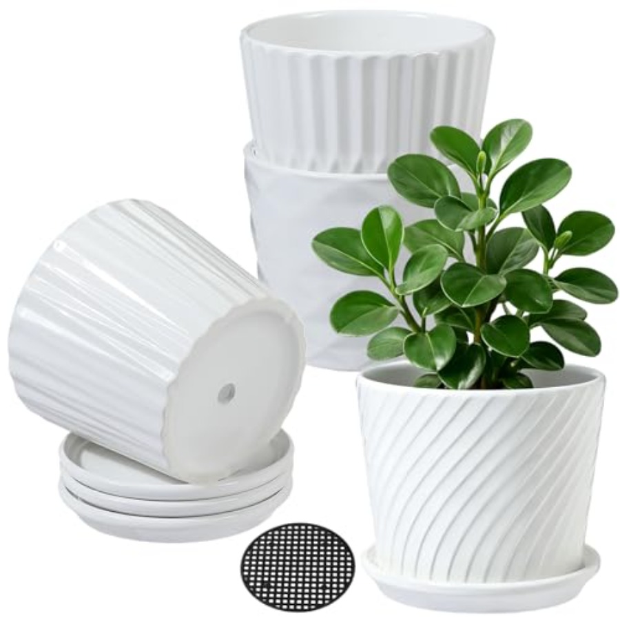 Snake Plant Ceramic - Doniczki - Cylindryczne ceramiczne doniczki z