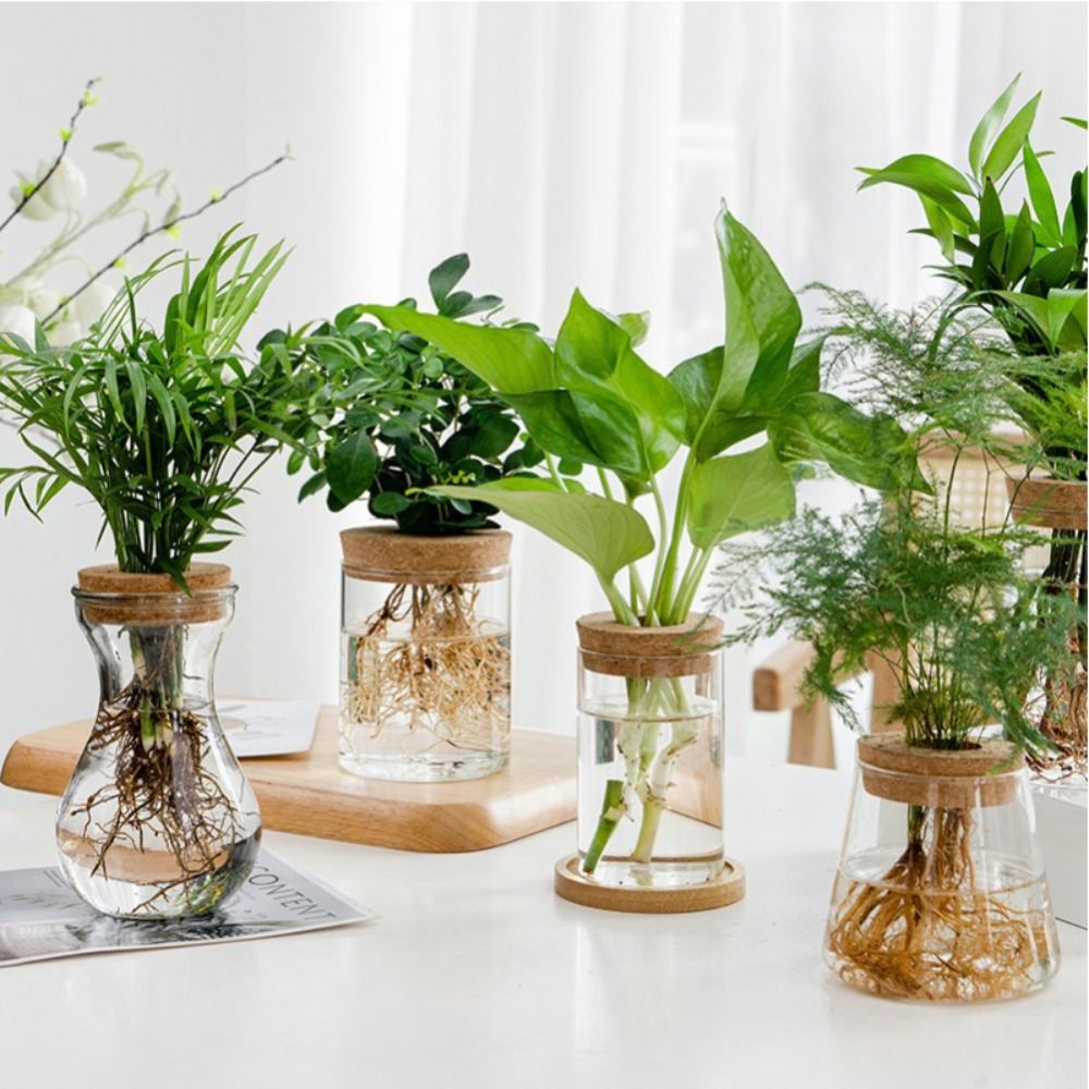 Snake Plant Ceramic - Przezroczysta hydroponiczna doniczka Zielona roślina Kreatywne