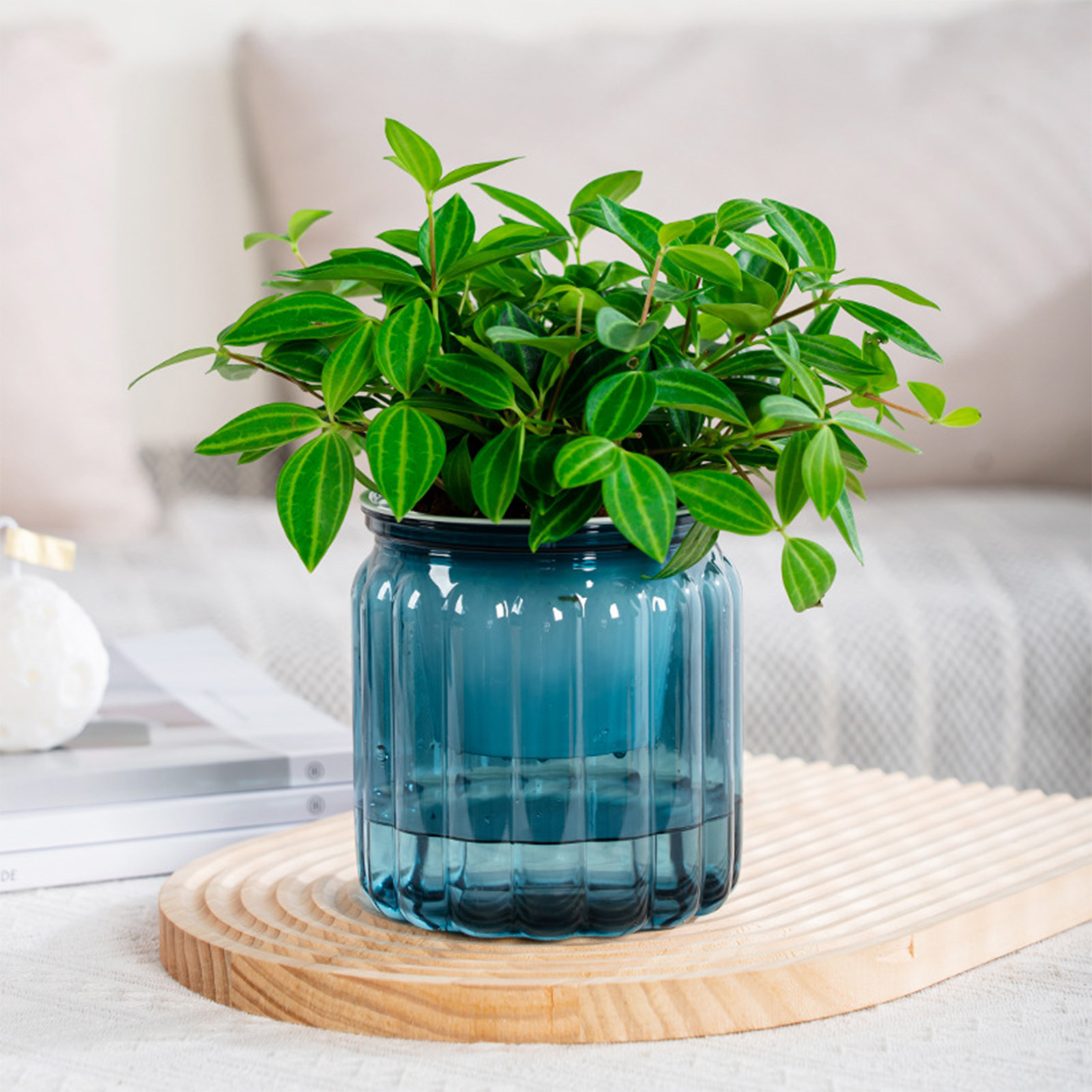 Snake Plant Ceramic - Elegancka doniczka samonawadniająca Delikatna, nowoczesna doniczka
