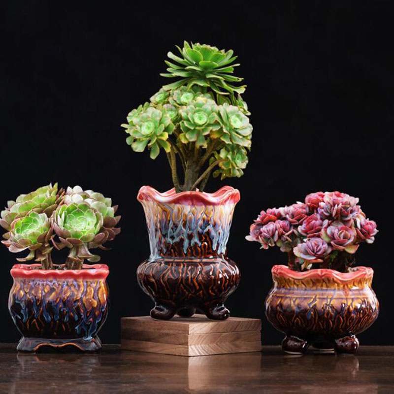 Kreatywna przeszklona doniczka – Snake Plant Ceramic recenzja i cena