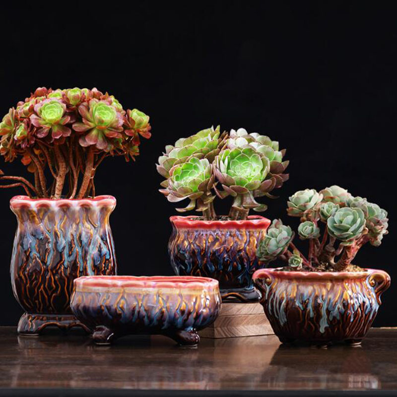 Kreatywna przeszklona doniczka – Snake Plant Ceramic recenzja i cena