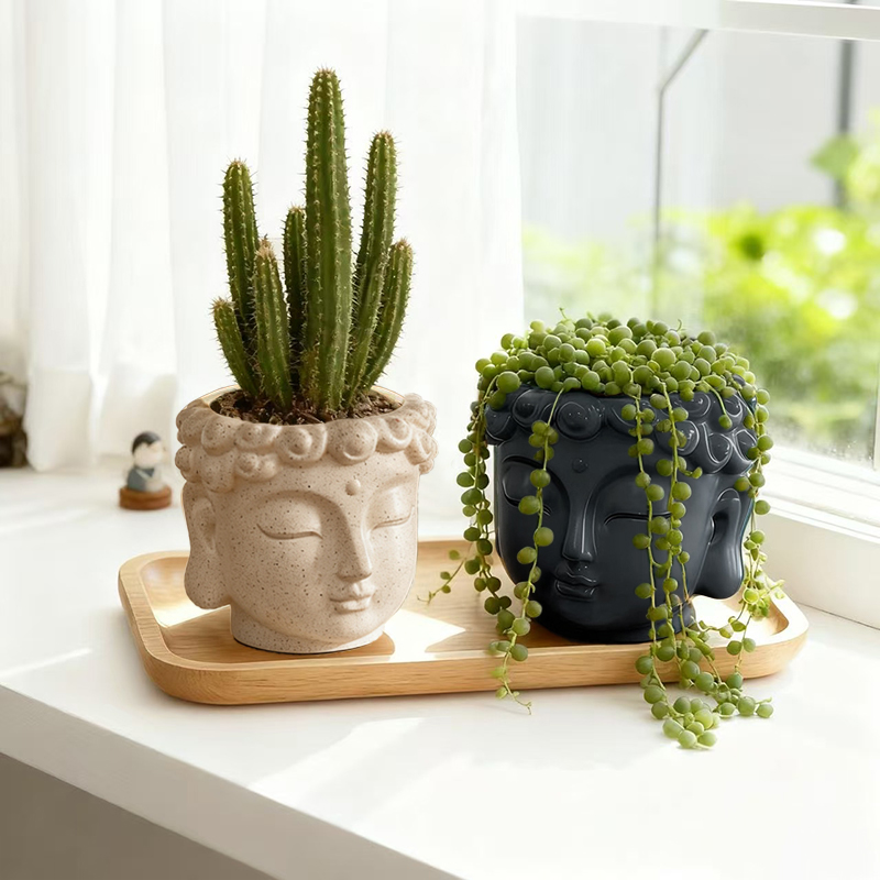 Statua Buddy Zen, doniczka z ż – Snake Plant Ceramic recenzja i cena