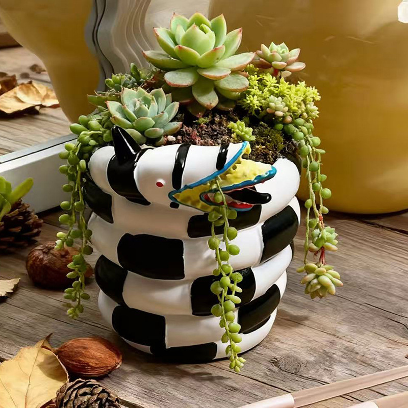 1 sztuka czarno-białego donicz – Snake Plant Ceramic recenzja i cena