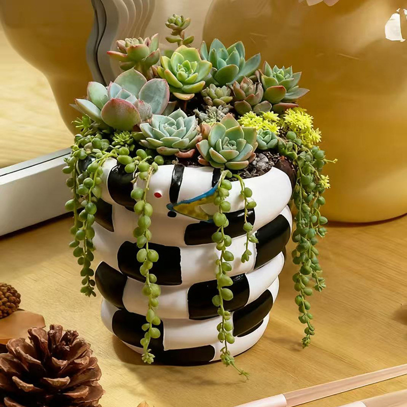 1 sztuka czarno-białego donicz – Snake Plant Ceramic recenzja i cena