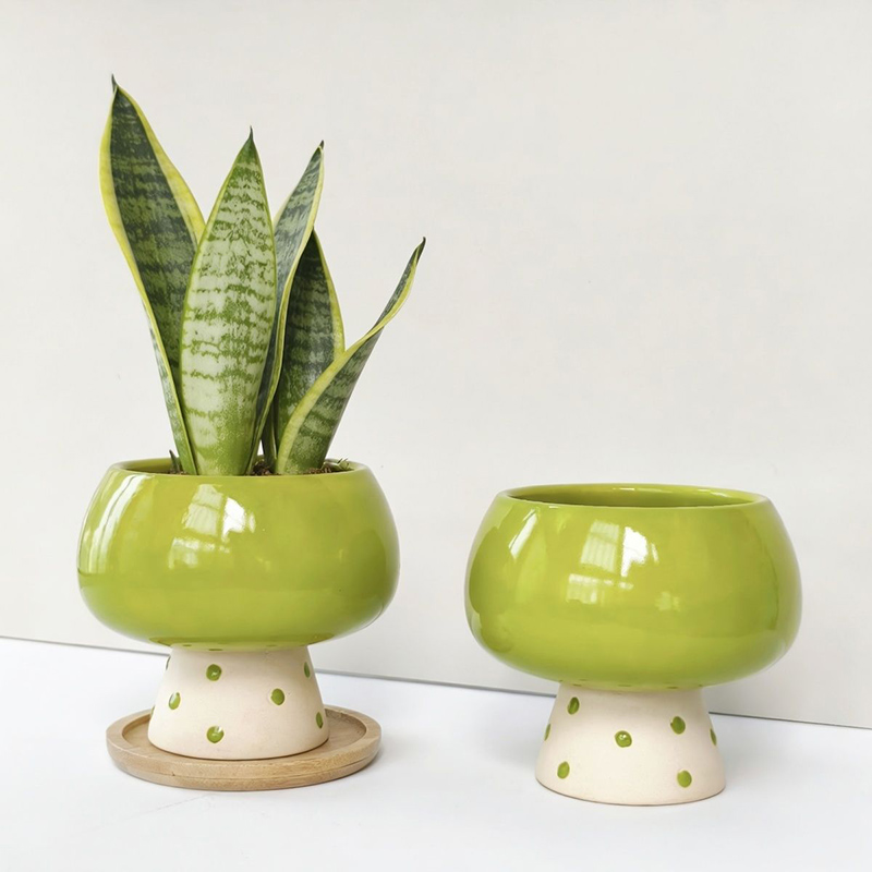 Stylowa, minimalistyczna ceram – Snake Plant Ceramic recenzja i cena
