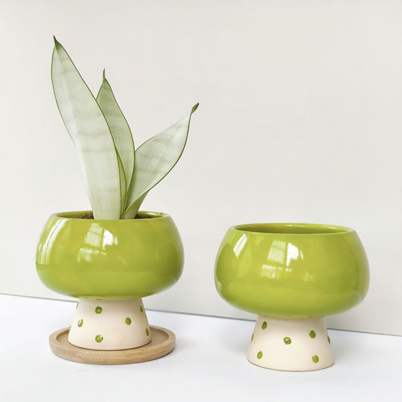 Stylowa, minimalistyczna ceram – Snake Plant Ceramic recenzja i cena
