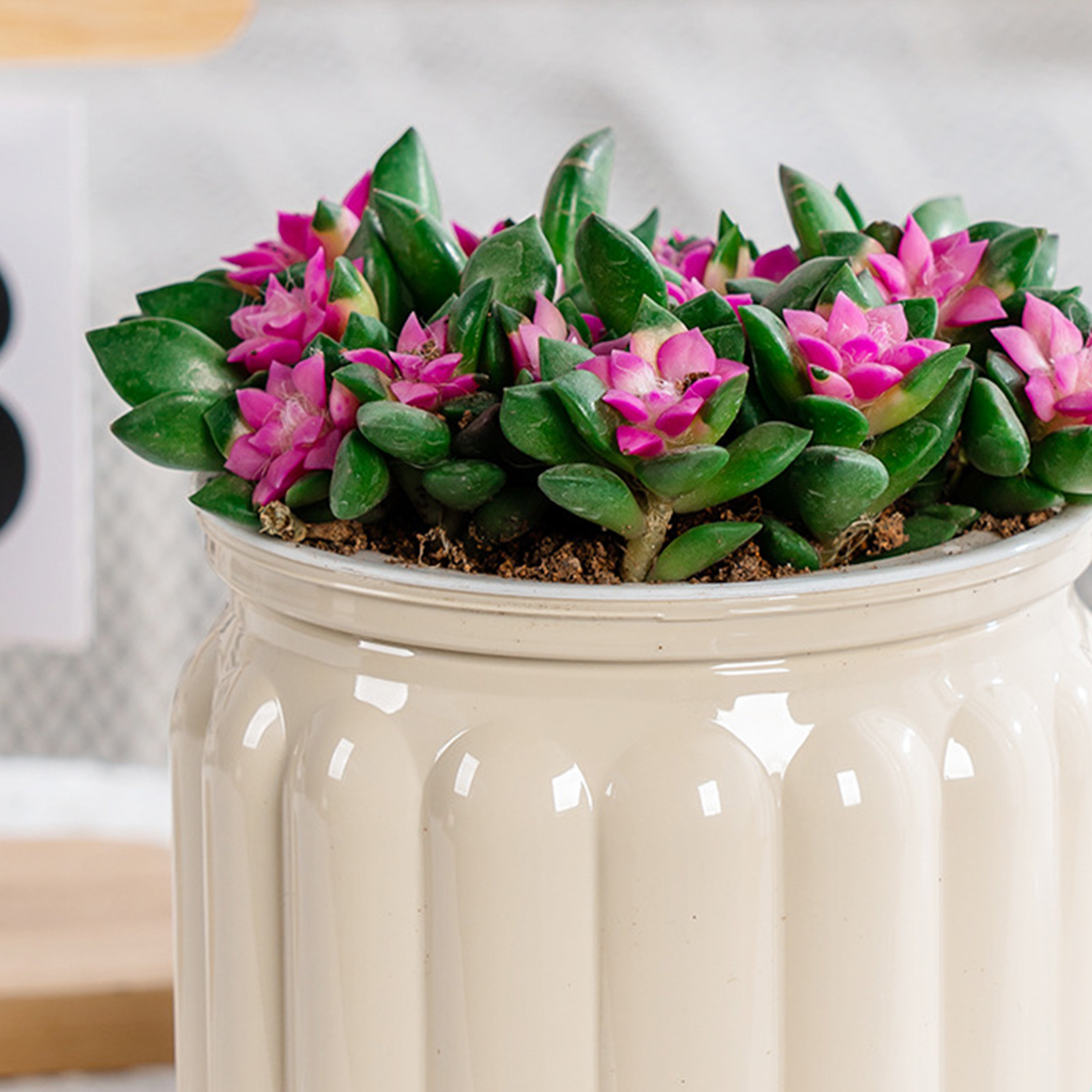 Elegancka doniczka samonawadni – Snake Plant Ceramic recenzja i cena